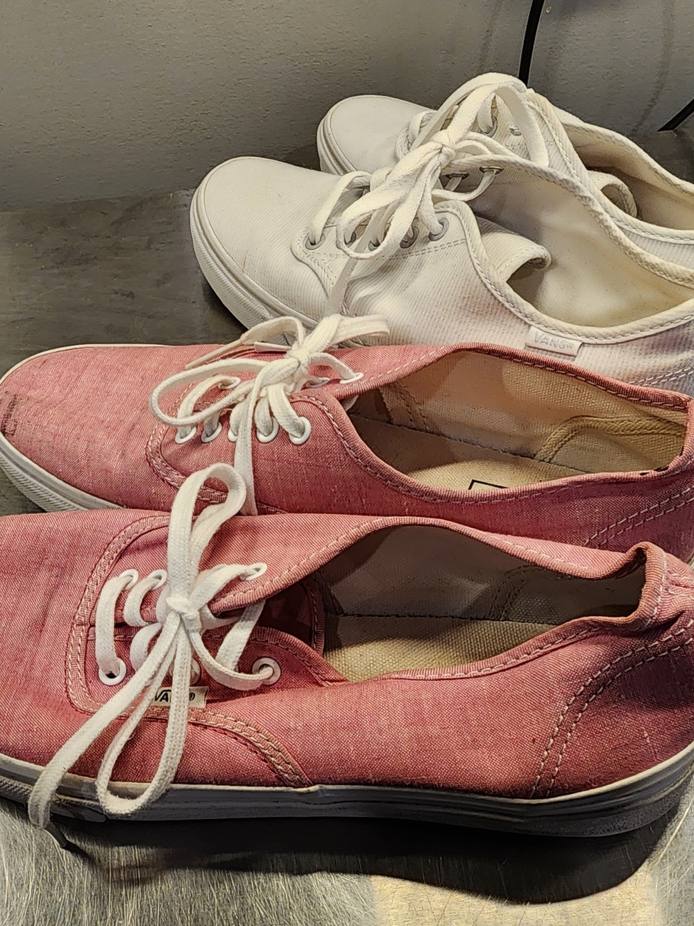 Vans 10 - Picture 5 of 9
